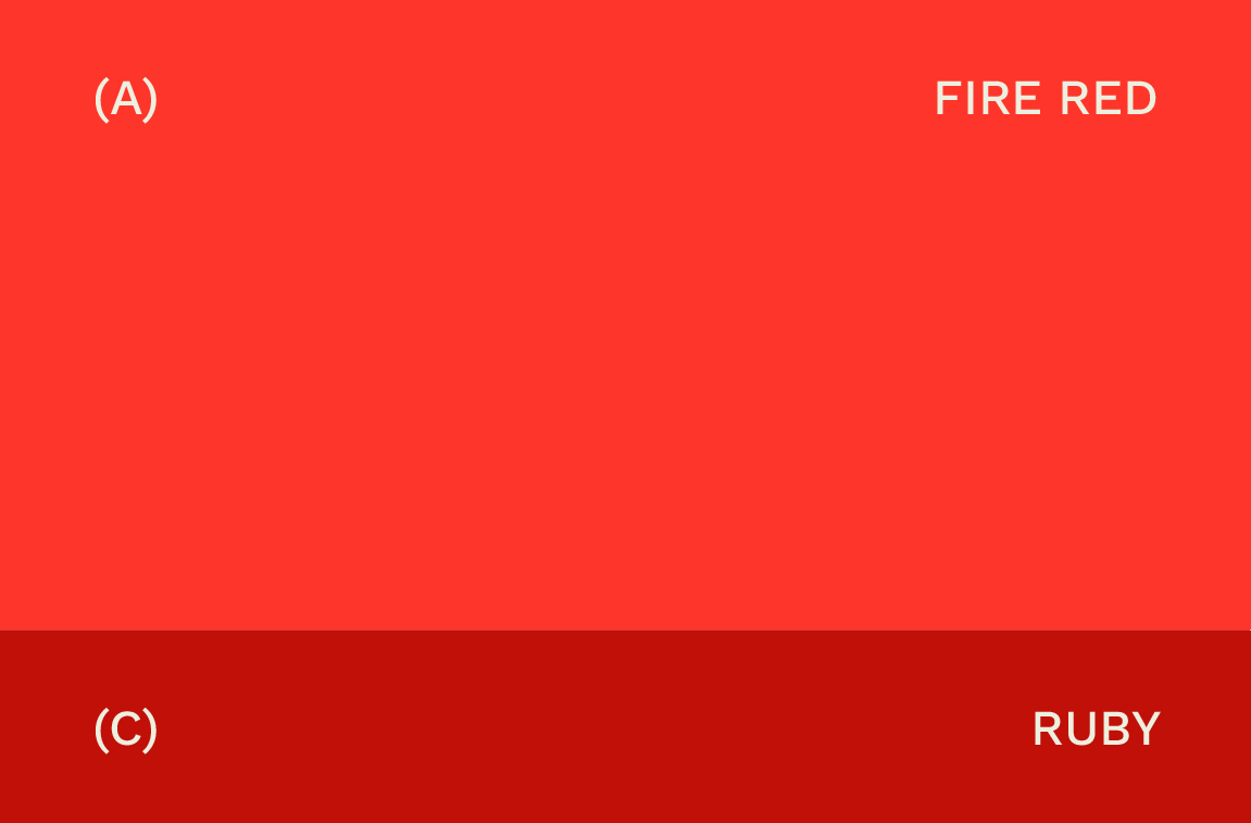 GYSHIDO brand color palette showing Fire Red main color and Ruby secondary color swatches