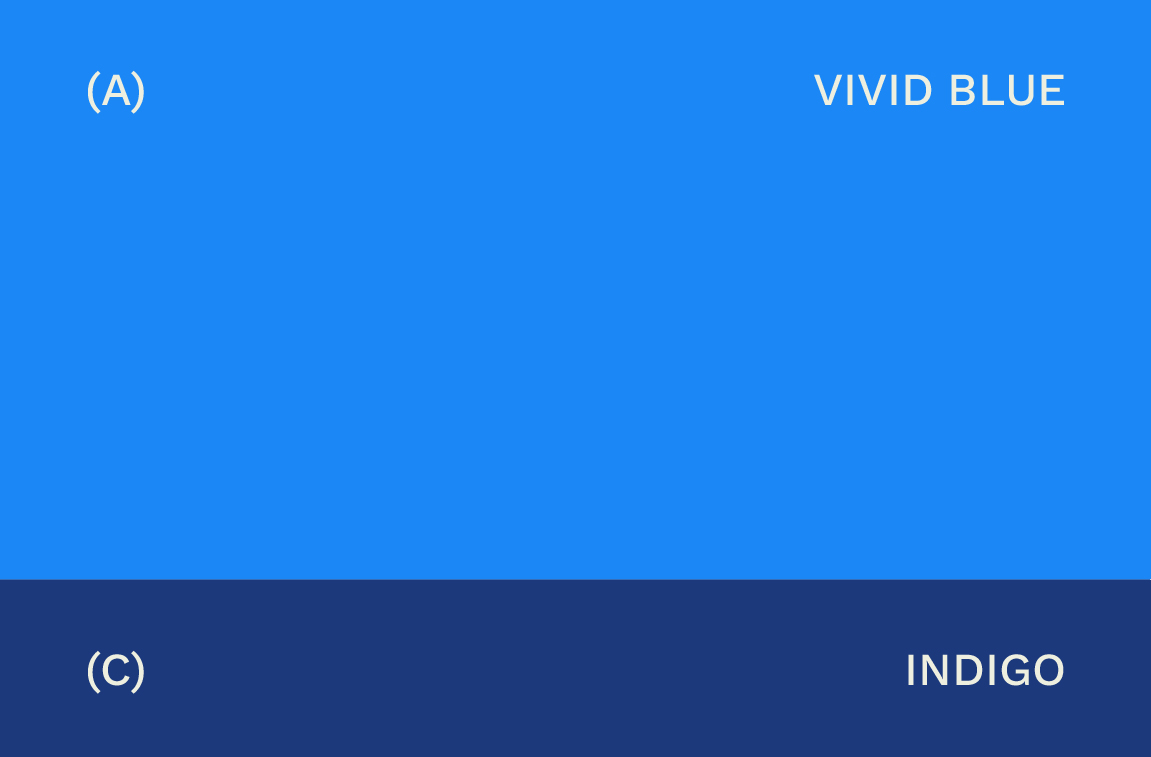 GYSHIDO brand color palette showing Vivid Blue main color and Indigo secondary color swatches