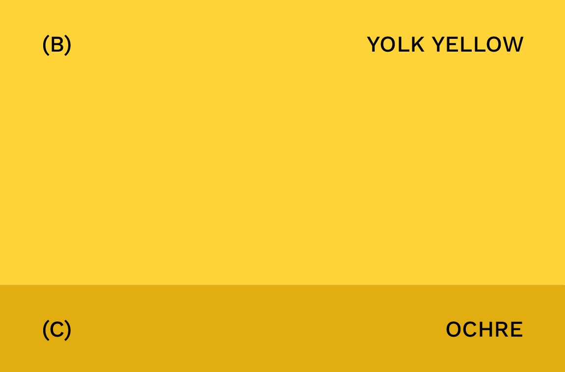 GYSHIDO brand color palette showing Yolk Yellow accent color and Ochre secondary color swatches