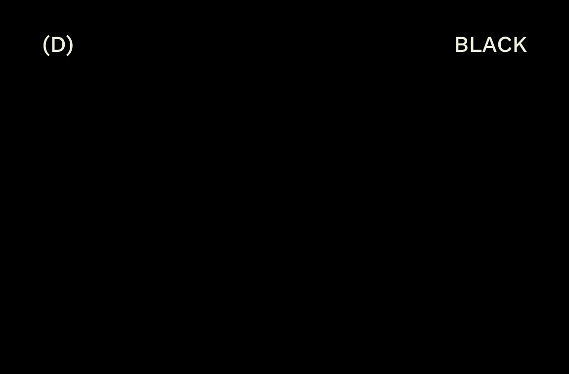 GYSHIDO neutral color palette showing solid Black color swatch