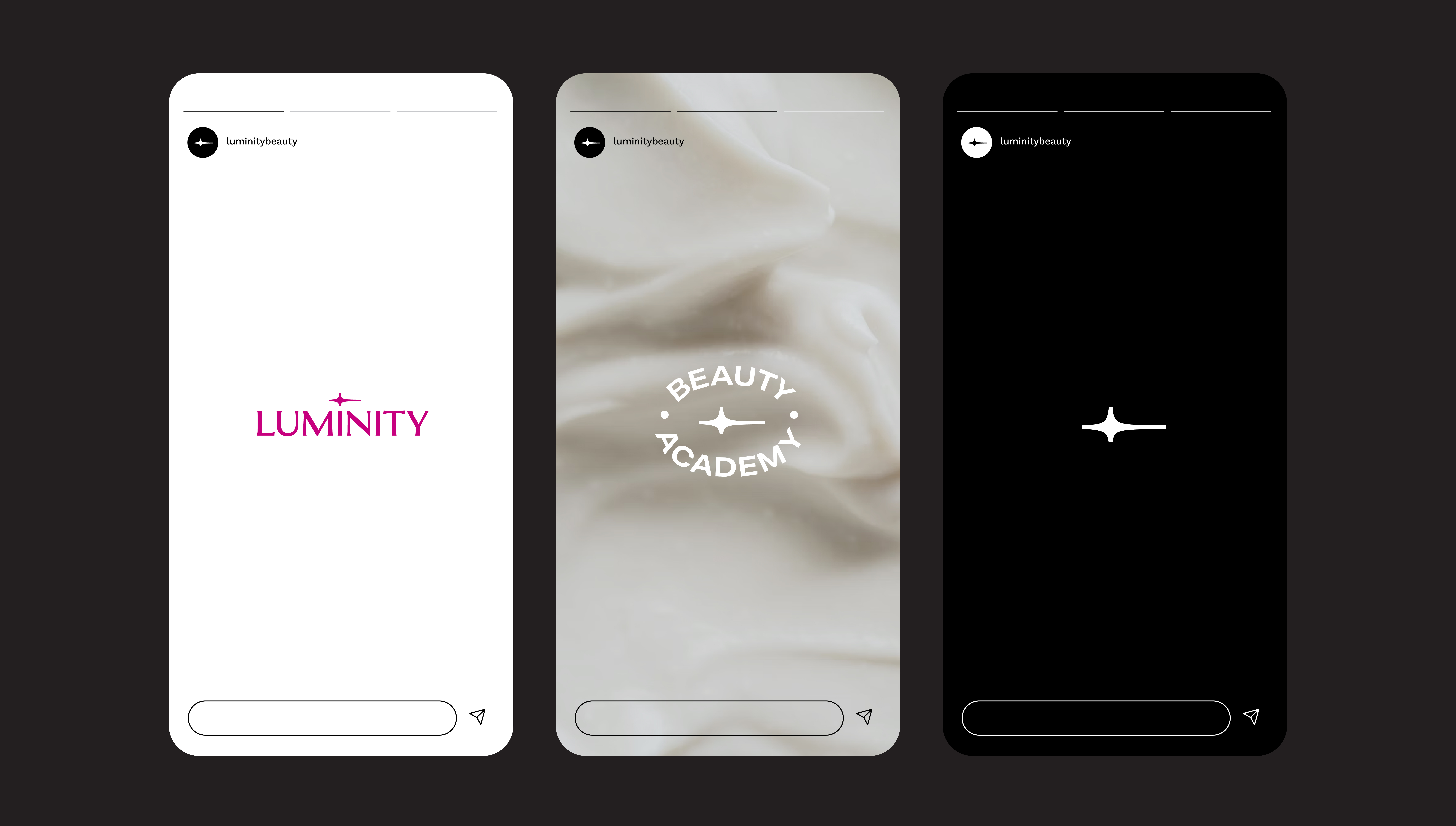 Luminity Instagram Stories showing pink logo, Beauty Academy badge and spark favicon