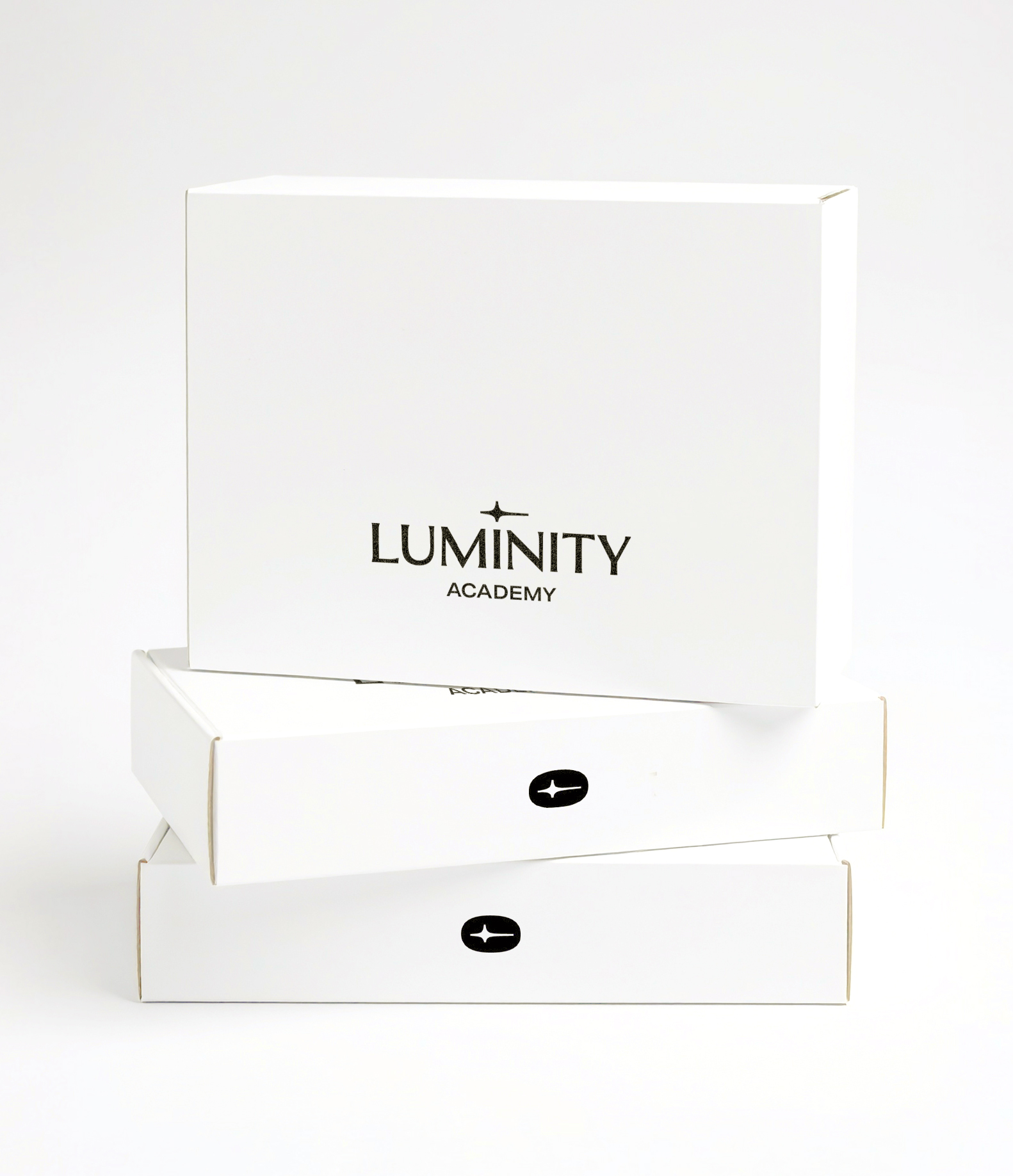 Luminity brand application showcasing printed student workshop supply kits boxes