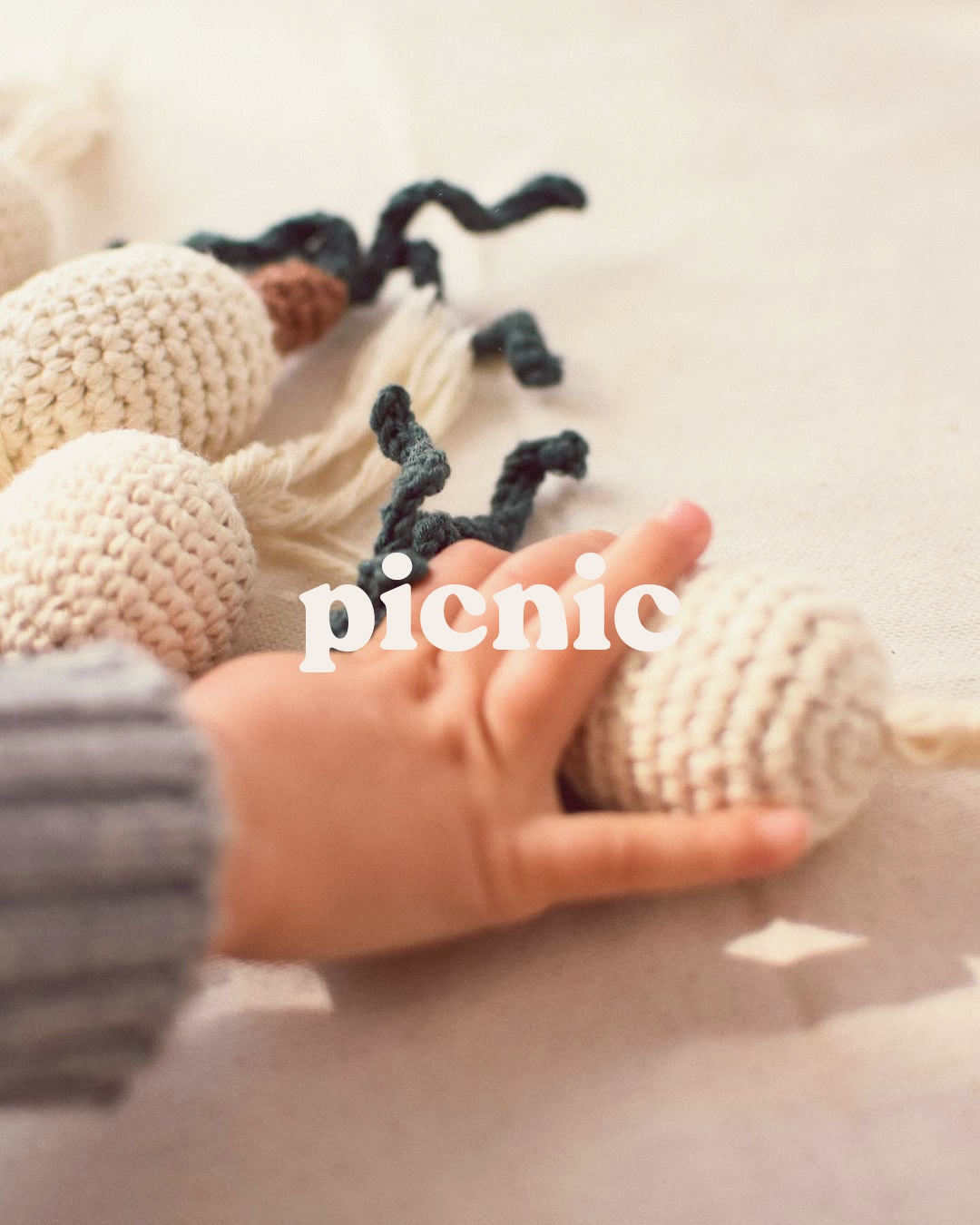 Picnic Logotype and Visual identity
