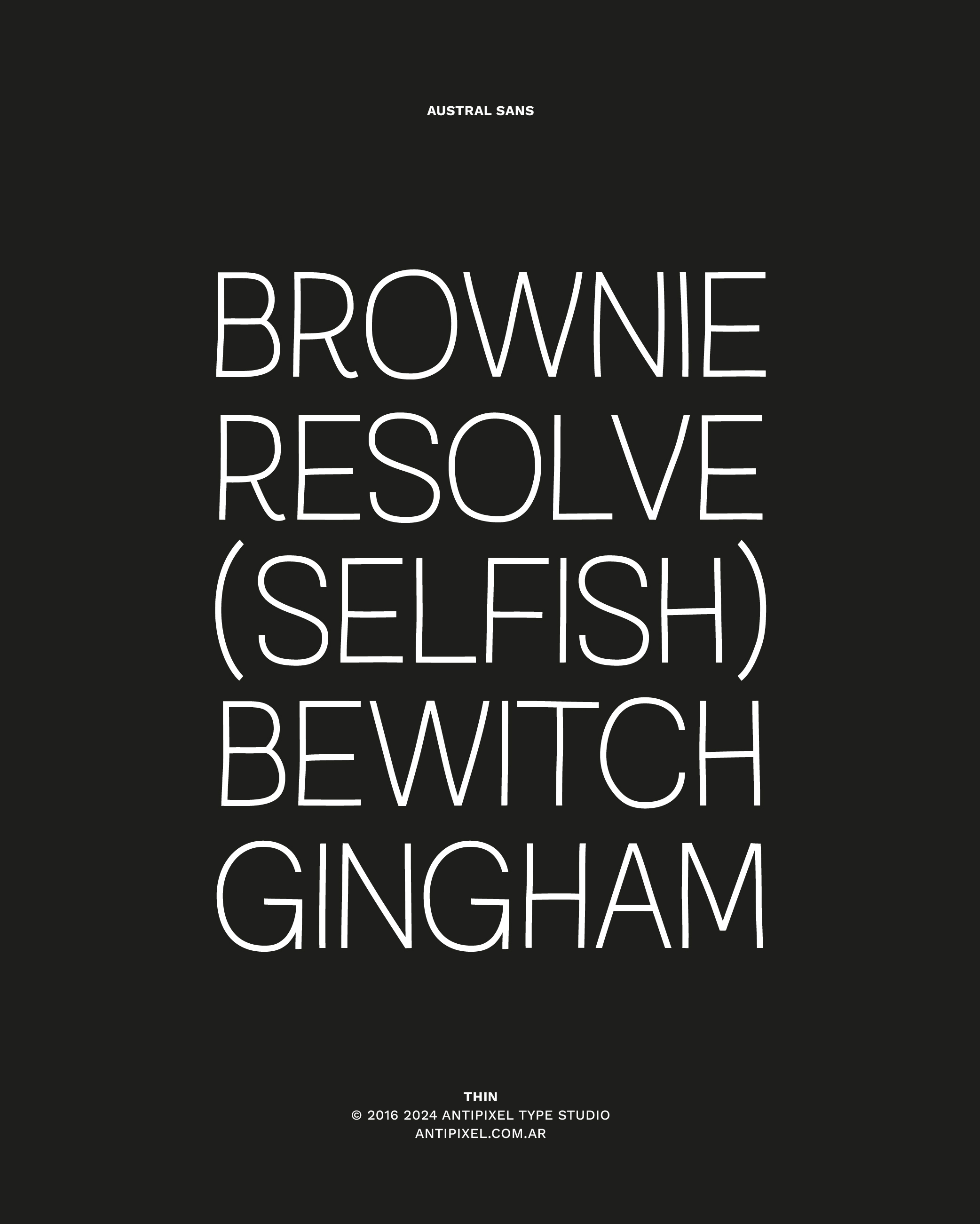 Discover Austral Sans, a display and monolinear sans-serif that adds a clean, distinctive edge to your work