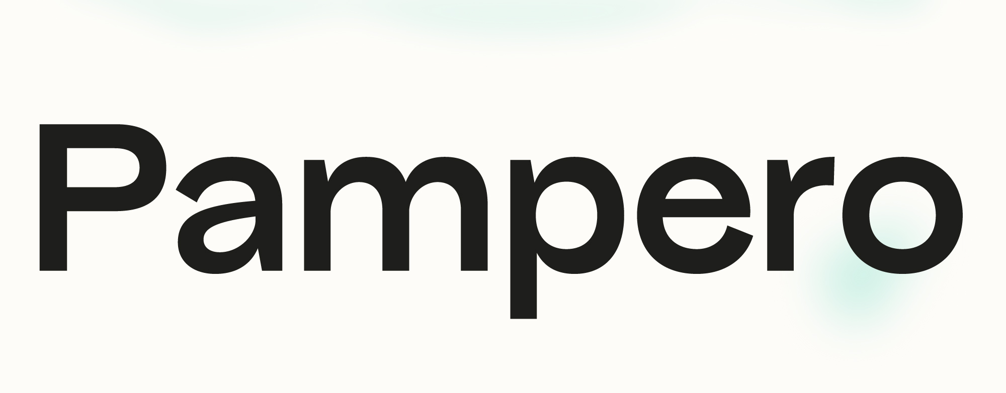 Pampero Sans Serif type family perfect for branding, packaging design, or web and screens.